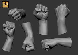 Hand In 4 Poses 3d Model Hands Poses 3d Model
