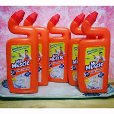 Kills 99% of germs 2. Mr Muscle 5 In 1 Toilet Cleaner 500ml Shopee Philippines