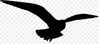 Eagle Cartoon Png Download 1000 430 Free Transparent Gulls Png Download Cleanpng Kisspng Download this free vector about eagle and its silhouette, and discover more than 10 million professional graphic resources on freepik. eagle cartoon png download 1000 430