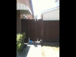 Do all huskies jump fences? Siberian Husky Jumping The Fence Youtube