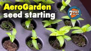 How long does aerogarden take to ship? Aerogarden Seed Starting System Youtube