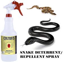 Snakes do not actually damage the garden — in fact, common varieties prey on other pests such as slugs, mice, voles and how to naturally repel snakes. Colton S Naturals Snake Repellent Snake Spray Repellent Deterrent For All Types Of Snakes Walmart Com Walmart Com
