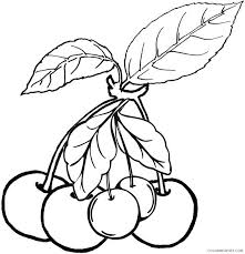 Download and print free cherry jam beutiful coloring pages. Cherry Coloring Pages Fruits Food Cherries Fruit Printable 2021 161 Coloring4free Coloring4free Com