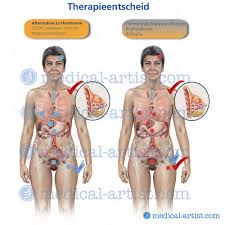 To get started, choose a muscle group either on the muscle chart. Medical Illustrations Of Female Breast Anatomy Human Reproductive Illustrations Anatomy Illustrations