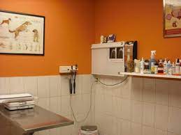 Health care for dogs, cats, and other small animals, we work together to insure your pets live long, healthy and happy lives. Chicago Pet Clinic 11 Photos 112 Reviews Veterinarians 3510 N Cicero Ave Chicago Il Phone Number