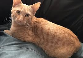 SHE FOUND US !!! SHES BACK WITH HER FAMILY SHE SHOWED UP IN THE HOUSE !!!  30 mins ago !! Thank you so much for everything and everyone that helped  every possible way