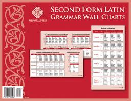 second form latin grammar wall charts