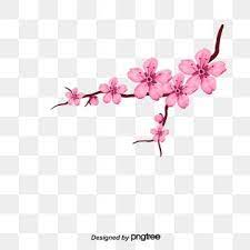 Cherry Vector Vector Petals Cherry Blossoms Cherry Petals Petal Elements Petals Vector