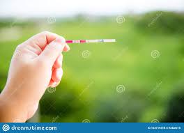 Iui Ivf Photos Free Royalty Free Stock Photos From Dreamstime