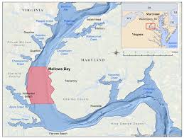 Mallows Bay Potomac River National Marine Sanctuaries