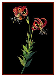 Free for commercial use no attribution required high quality images. Tiger Lily Flower Inspired Mary Delany Counted Cross Stitch Pattern 769572919683 Ebay