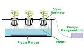 Sistema Idroponico Dwc Botanica Urbana Grow Shop
