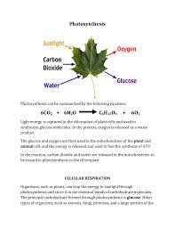 We did not find results for: Cellular Respiration