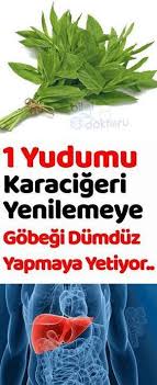 Nane Yapraklari Ile Hem Karacigere Faydali Hemde Gobegi Eritiyor Bu Karisim Health Fitness Health Health Detox