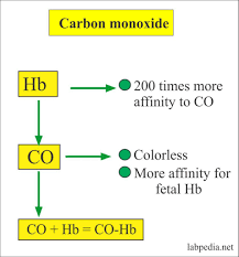 Find information on carbon monoxide symptoms, diagnosis, treatment, and prevention. Carboxyhemoglobin Cohb Carbon Monoxide Co Poisoning Labpedia Net