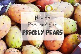 A great suggestion is to pick the fruit off the. How To Peel Prickly Pears Cactus Fruit Without Pain Cucicucicoo