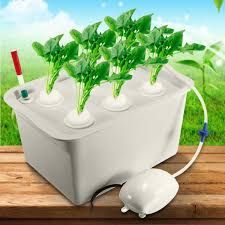 Garden Outdoors Growing Kits Systems Lwq 6 Holes 110v Plant Site Hydroponic System Indoor Garden Cabinet Box Grow Kit Bubble Garden Pots Planters Nursery Pots Intouchnetworks Com