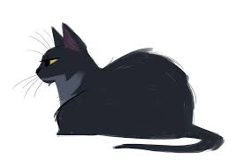 Black And White Cat Drawing Cartoon 511 Papi My Papi Cats Illustration Cartoon Cat Drawing