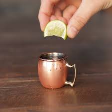 Mini Moscow Mule Shot Glasses Shot Glasses Mini Desserts Shot Recipes