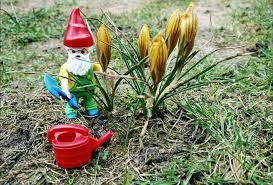 Playmobil Gartenzwerg Gartenzwerg Garten Bilder