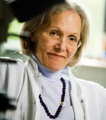 Videnskabelig årsrapport