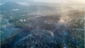 Dumanları gören çevredekiler durumu 112 acil çağrı merkezi'ne bildirdi. Antalya Kas Ta Orman Yangini Ntv