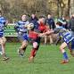 Match Day: Cranleigh 1st XV vs Old Freemans event image