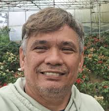 Is Walmart experiencing a price drop since dropping MJ Holdings?