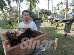 Cara membuat wanita orgasme ⭐sampai lunglai jadi ketagihan teknik yang benar (+) produk terbaik agar kuat bercinta klik! Hasil Madu Kelulut Hingga 10 Kg Sebulan
