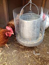 5 Best Chicken Feeders That Will Prevent Waste Chicken Feeders Chicken Feeder Diy Backyard Chicken Coops
