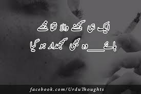 See more ideas about funny quotes in urdu, funny quotes, fun quotes funny. Pin On Gardenscapes