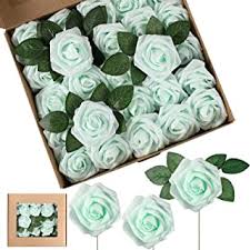 Maybe you would like to learn more about one of these? Amazon Com Mint Green Flowers