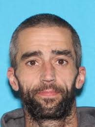 I am looking for a 3-4 month out female goose. My male goose needs a mate