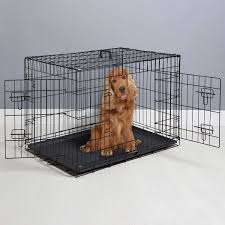 See everything that's on sale! Dog Crate
