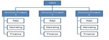 Organizational Structure Definition Human Resources Hr