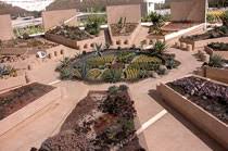Located in the heart of san jose del cabo, the garden was founded more than a decade ago to educate visitors about the importance of maintaining native ecosystems. Cactimundo Gardens Los Cabos Guide