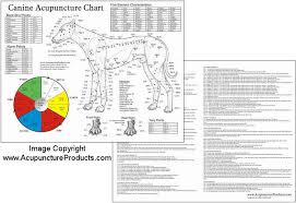 Dog Acupuncture Chart