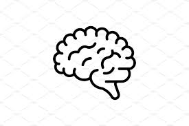 Human Brain Icon Brain Icon Human Brain Icon