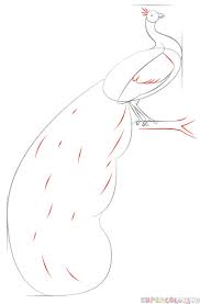 Flower vine2 by mybeautifulsickness on deviantart. How To Draw A Peacock Step By Step Drawing Tutorials Drawings Bird Drawings Drawing Tutorial