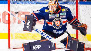 Business, säger viktor fasth som nu gör sig redo för sin sjunde säsong i växjö lakers och femte säsong i. Viktor Fasth Nhl