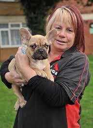 This third eyelid provides an additional layer of protection for a french bulldog's eye. Sndogs Four Month Old French Bulldog Needs An Operation To Correct His Cherry Eye Swindon Advertiser