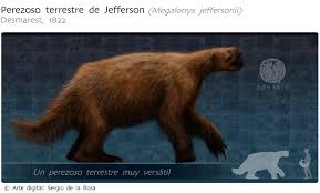 Traducir perezoso significado perezoso traducción de perezoso sinónimos de información sobre perezoso en el diccionario y enciclopedia en línea gratuito. Perezoso Terrestre De Jefferson Biodiversidad Mexicana