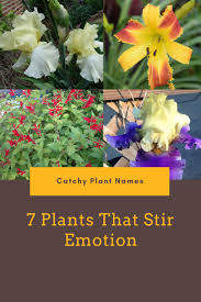 Click the boxes that describe your plant and you're off and running. Plants With Meaningful Names Plant Names That Stir Emotion