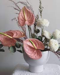 Blush Anthurium Wedding Arrangement Ranunculus Arrangement Anthurium Flower Anthurium