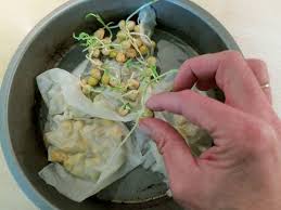 Il s'en sert occasionnellement pour stocker des informations. Duree De Vie Graine De Cannabis Iseeds Fr