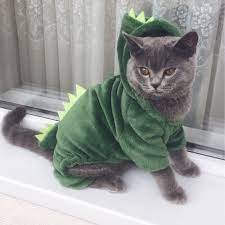 We did not find results for: Pet Cosplay Costume Long Sleeve Fleece Hoodie Warm Outfits Clothes Coat Dog Cat Dinosaur Costumes Fan Shop Sports Outdoors Fcteutonia05 De