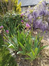 Epingle Sur Jardin