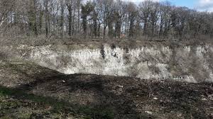Deze kalk is ontstaan in het trias, 240 miljoen jaar geleden. Oehoe Zit Niet Meer Op Nest In Winterswijkse Groeve Winterswijk Gelderlander Nl