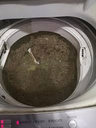 Lagi sakit matam ada banyak kerak hitam yang melekat pada baju. Tak Sangka Ini Caranya Cuci Mesin Basuh Yang Berkeladak Hanya Guna Sabun Eco Jer Mudah Menjimatkan Keluarga