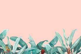 Hand Drawn Tropical Leaves On A Pastel Pink Background Premium Image By Rawpixel Co Pastel Background Wallpapers Pink Wallpaper Laptop Pastel Color Wallpaper